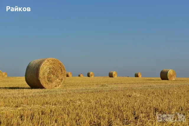 Продава 33 дка зем.земя в с. Червенци.