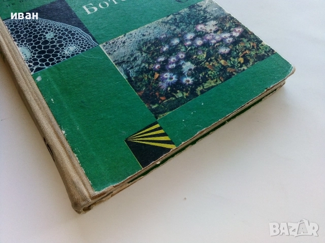 Ботаника за 6.клас - М.Марчева,А.Коцев,И.Пенев - 1969г., снимка 6 - Учебници, учебни тетрадки - 52403189