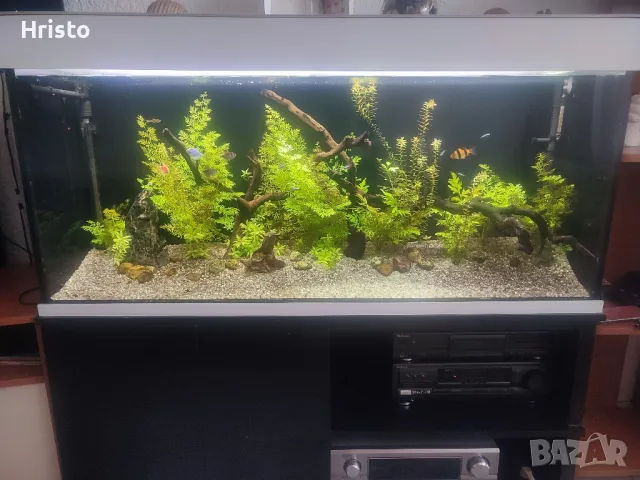 Аквариум 280л.шкаф и канистър