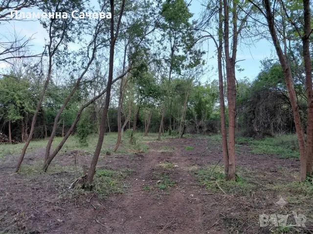 Парцел, село Шемшево, снимка 1 - Парцели - 56423893