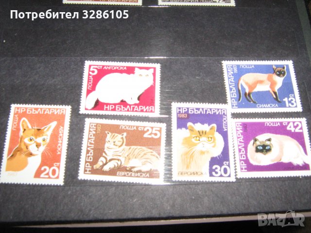 марки-серия котки, снимка 1 - Филателия - 39732155