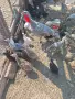 Продавам селски пуенца и пиленца без майката, снимка 2