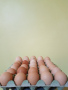 Домашни яйца от село , снимка 1 - Домашни продукти - 44034762