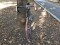 шосеен велосипед колело бегач bulls campagnolo , снимка 4