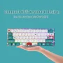 MIHIYIRY 60% кабелна игрална клавиатура, 61 клавиша SK механична клавиатура, RGB подсветка, снимка 5
