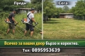 Косене на Трева и Почистване на Дворове, снимка 1