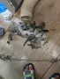 Отпушване на тоалетни мивки сифони канали шахти ремонт по канализация, снимка 3
