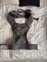 Ергономична раница Ergobaby, снимка 1
