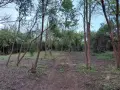 Парцел, село Шемшево, снимка 1