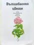 Приказки на славянските народи книга 2 - Вълшебното цвете - 1993г., снимка 2