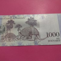 Банкнота Венецуела-15594, снимка 3 - Нумизматика и бонистика - 30545151