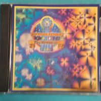 Michael Pinder(The Moody Blues) – 1976 - The Promise(Classic Rock), снимка 1 - CD дискове - 42701992