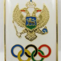 САЩ Олимпийски комитет-Олимпийски значки-Олимпиада, снимка 9 - Колекции - 35247257