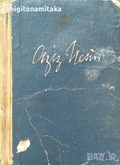 Какви сме магарета - Азис Несин, снимка 1