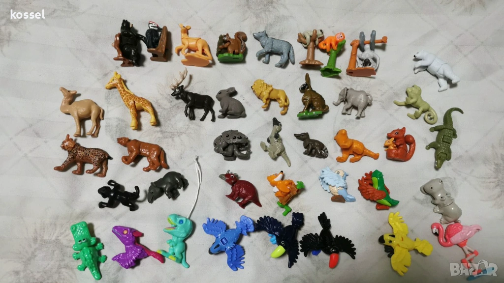 Киндер-животни-Африка и Арктика, тийн идоли, снимка 1