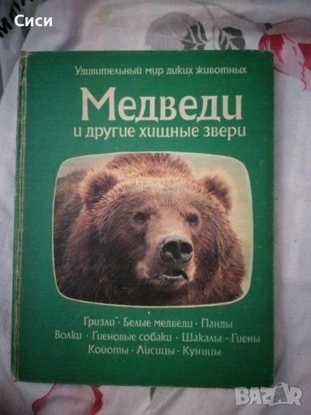 Медведи, снимка 1