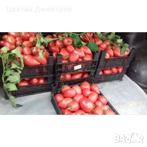 домашно приготвени консерви от домашно отглеждани зеленчуци , снимка 7 - Домашни продукти - 52141135