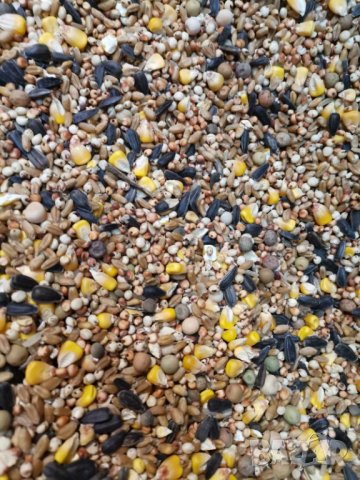 Смес/храна за гълъби silver, снимка 2 - Гълъби - 16247930