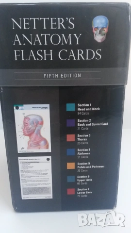 Флаш карти по анатомия Netter's Anatomy Flash Cards - 5th edition, снимка 5 - Учебници, учебни тетрадки - 54084473