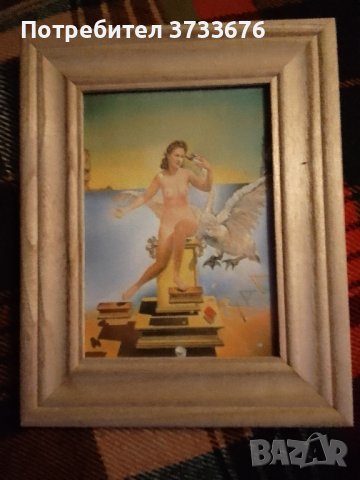 Картини- художествено отпечатване върху текстилна канаваца.2 бр.
