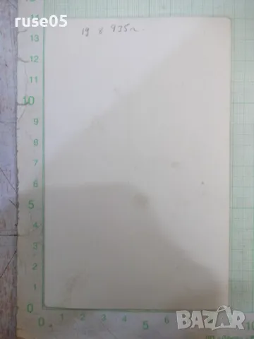 Снимка стара на излет на жени с деца в градината, снимка 2 - Колекции - 48002231