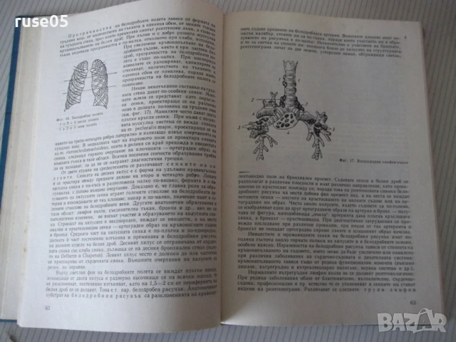 Книга "Рентгенология и радиология - Ив. Ушев" - 328 стр., снимка 5 - Специализирана литература - 53221897