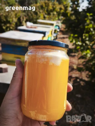 Чист български пчелен мед от GOLDEN BEE FARM.