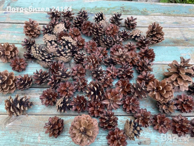 Шишарки за декорация+ зелени шишарки