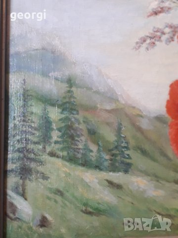 Картина платно, снимка 4 - Картини - 34384427