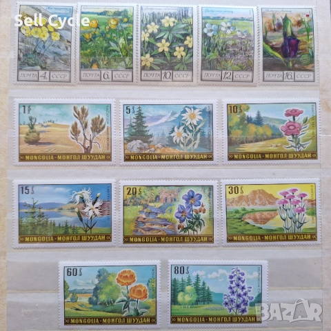 ✅ПОЩЕНСКИ МАРКИ - ФЛОРА - МОНГОЛИЯ, СССР❗