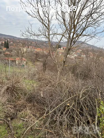 Почистване на дворове , снимка 7 - Други почистващи услуги - 40166087