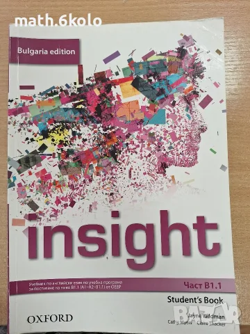 Insight B1.1 учебник 