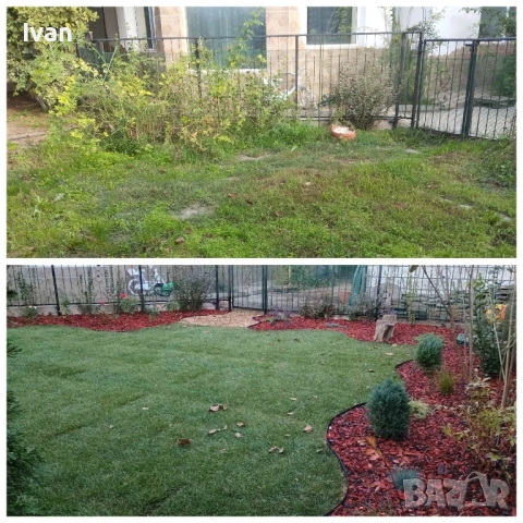 озеленяване , снимка 2 - Други - 52054077