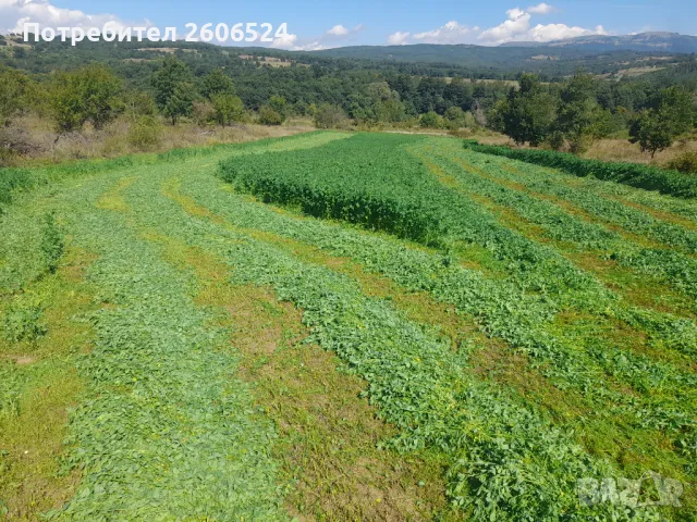 Купувам и наемам земеделска земя в гр.Стелча