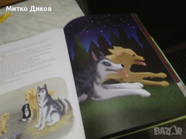 Тримата приятели детска книжка, снимка 5 - Други - 50415085