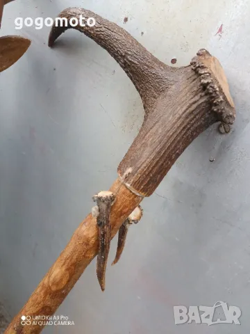 тояга, бастун, уникат, ръчна изработка,стар, старо, арт, естествен рог,made in GERMANY, HAND MADE, снимка 3 - Антикварни и старинни предмети - 47473674