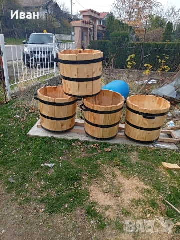 саксии за лимони, снимка 5 - Градински цветя и растения - 52823626