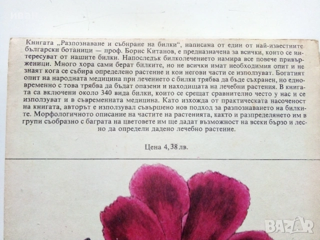 Разпознаване и събиране на билки - Борис Китанов - 1987г., снимка 8 - Енциклопедии, справочници - 53281460
