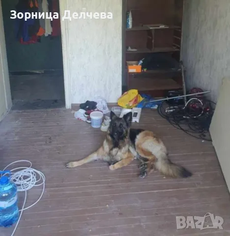 продажба на тристаен апартамент в Димитровград квартал"Мариино", снимка 5 - Апартаменти - 48271371