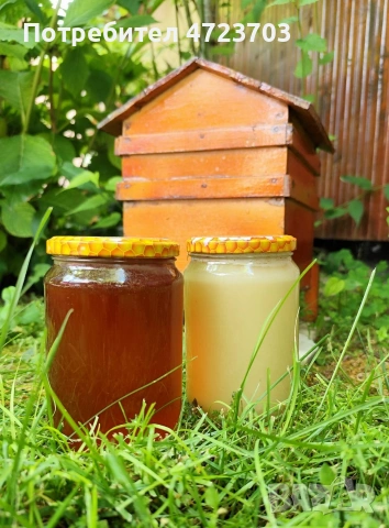 Пчелен мед! Реколта 2025г., снимка 3 - Пчелни продукти - 53284525