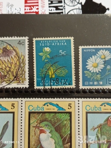 Стари пощенски марки от цял свят смесени ПТИЦИ, ЦВЕТЯ за КОЛЕКЦИЯ ДЕКОРАЦИЯ 52069, снимка 7 - Филателия - 53232019