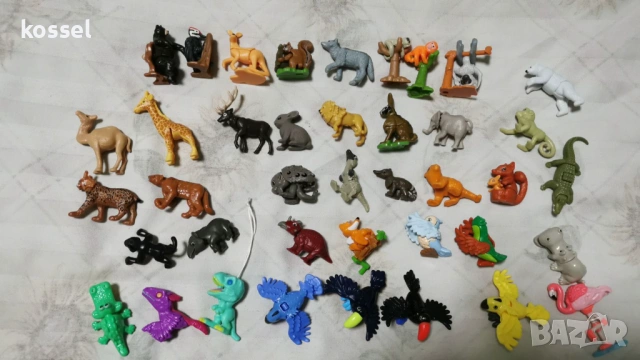 Киндер-животни-Африка и Арктика, тийн идоли