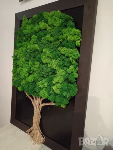 Картина от Скандинавски мъх , снимка 5 - Декорация за дома - 48915651