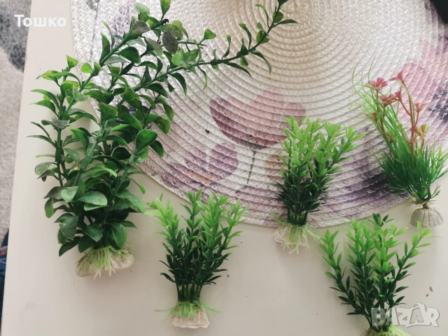 Изкуствени растения 5 броя 