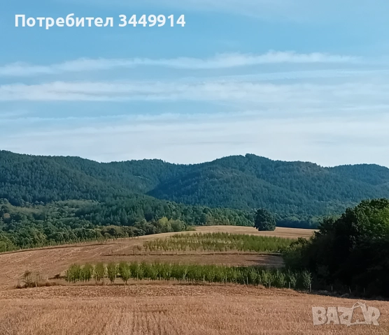 Овощни градини био- сливи до Правец, снимка 2 - Земеделска земя - 50220274