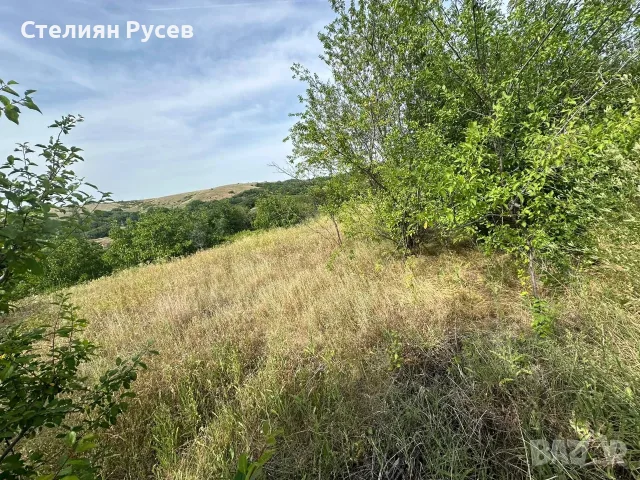 с. Калипетрово имот 1191кв.м ул. Орехова 32 / градина / парцел / терен , област Силистра -цена 8 400, снимка 9 - Парцели - 55769201