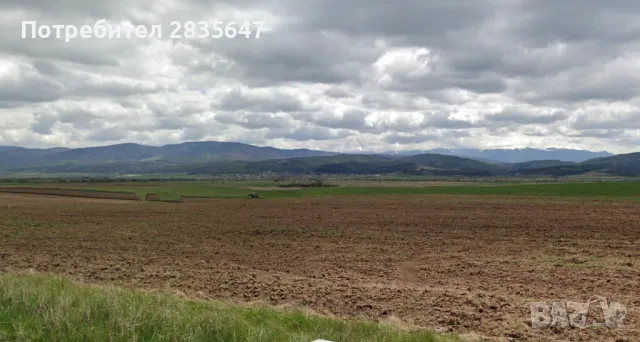 Парцел-нива., снимка 4 - Земеделска земя - 50006004