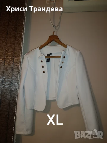 Сака и зимни якета , снимка 2 - Якета - 51378797