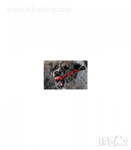 КУЧЕГОН - УРЕД ЗА ЗАЩИТА (И ДРЕСИРАНЕ) ОТ КУЧЕТА - код 851, снимка 4 - За кучета - 34088714