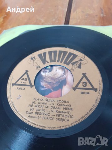 Грамофонна плоча Дует Begovic Petrovic, снимка 4 - Други ценни предмети - 31392125